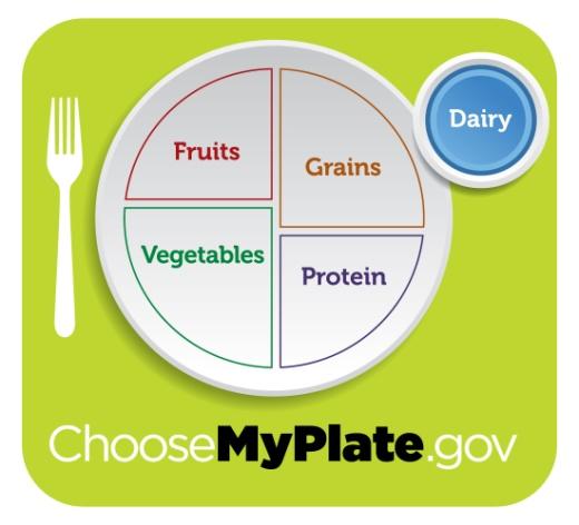myplate4 - My plate : Όλα όσα θέλετε να ξέρετε για το πιάτο σας!