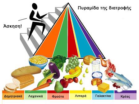 piramida diatrofis enilikes - Πυραμίδα τροφίμων: Ότι πρέπει να γνωρίζουμε