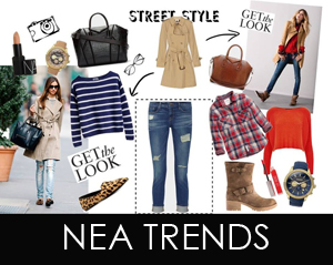nea trends 2013 2014